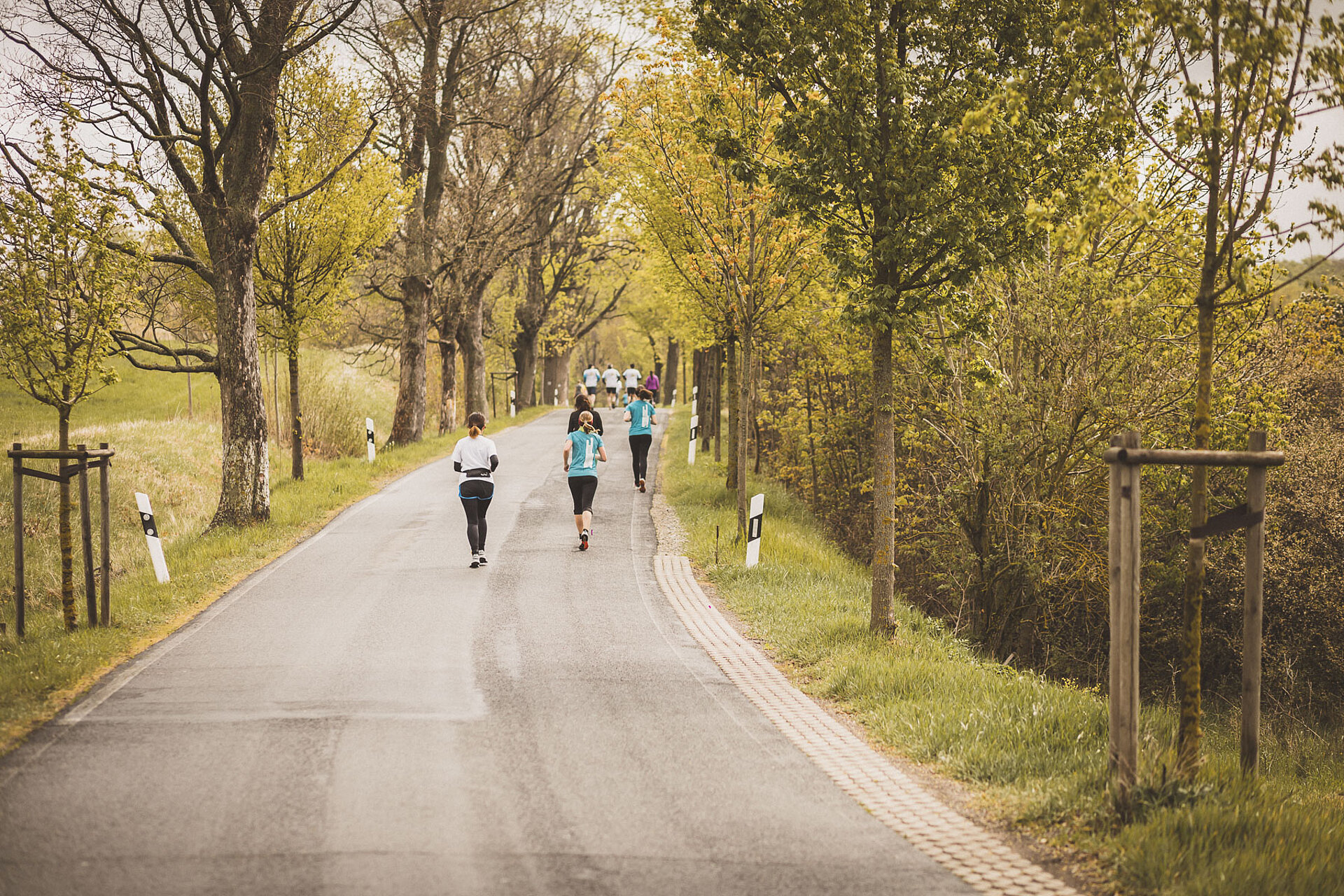 Goethe-Kultur-Lauf Anmeldung: 13,8 km Strecke – Teilnehmergruppe durchquert eine Allee © SCC EVENTS / Tom Wenig