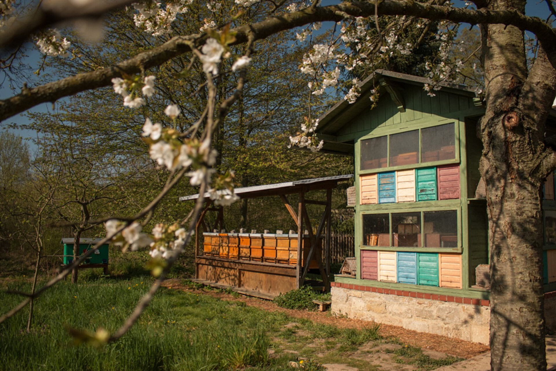 Goethe Lauf Weimar: Bienenstöcke © Bienenmuseum Weimar